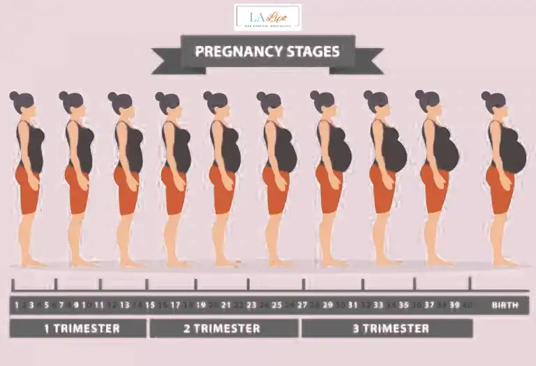 First Trimester (Weeks 1–12): Early Changes You Might Not Notice Cambridgeshire